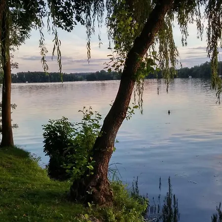 Seeblick Iii