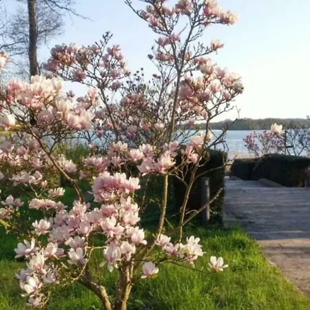 Seeblick Iii Bad Saarow