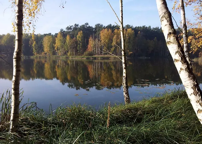 Seeblick Iii Bad Saarow