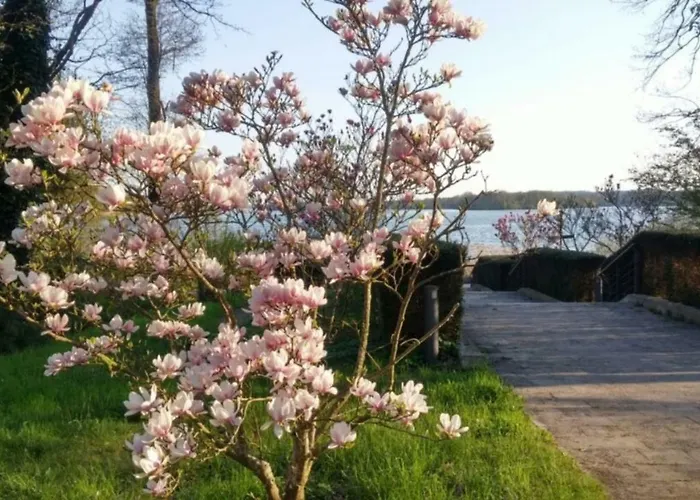 Seeblick Iii Bad Saarow